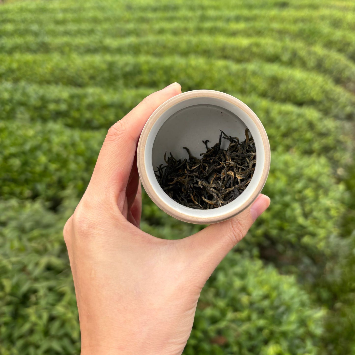 girl in love premium tea gift set